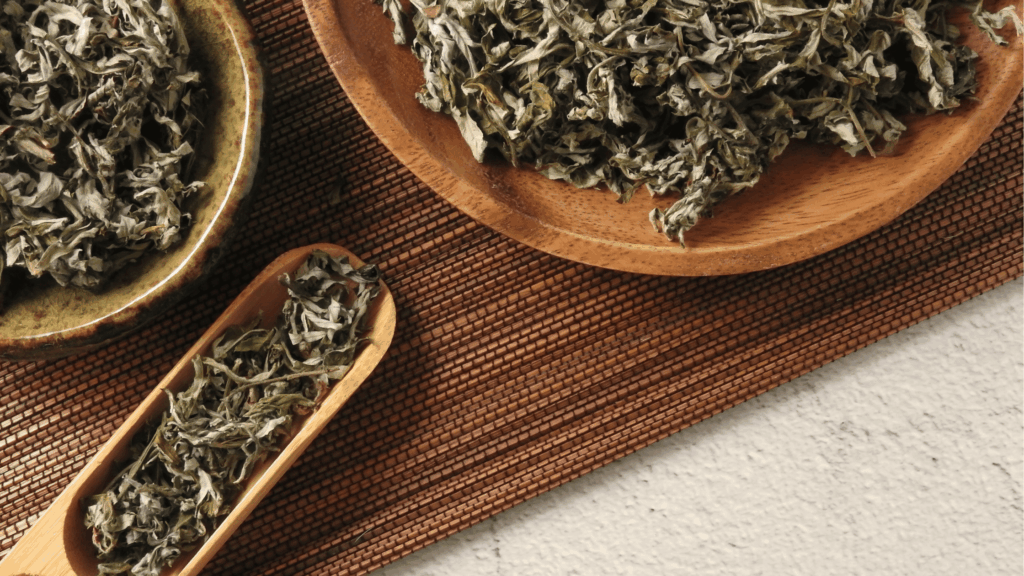 よもぎ蒸しサロンの経営を成功させるために、よもぎ蒸しサロンでリピート率を高める方法を解説した記事