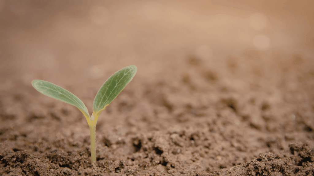 整骨院の集客アップを成功させるためのポイントが書かれた記事